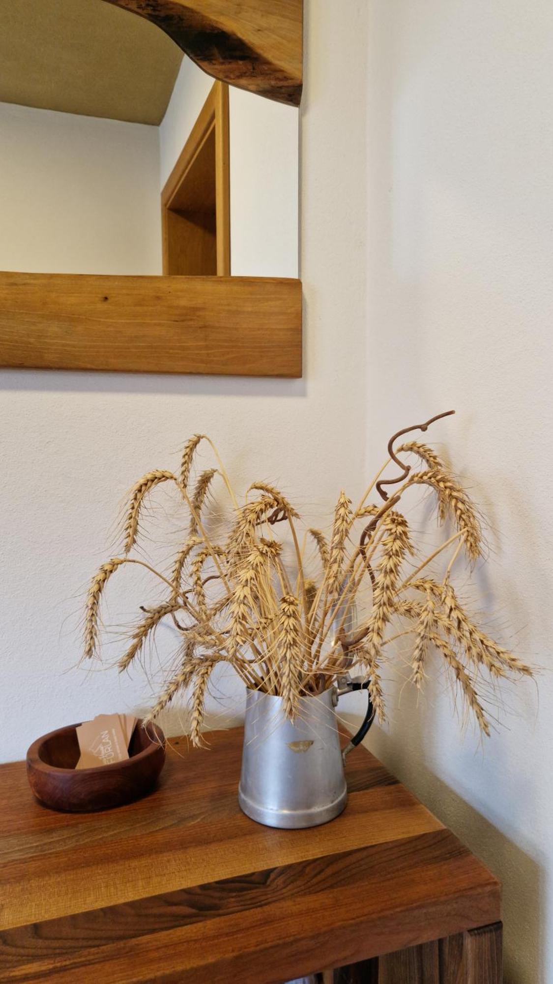 Ecohouse Furlan - Apartment Pinja Kobarid Esterno foto